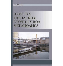 Очистка городских сточных вод мегаполиса